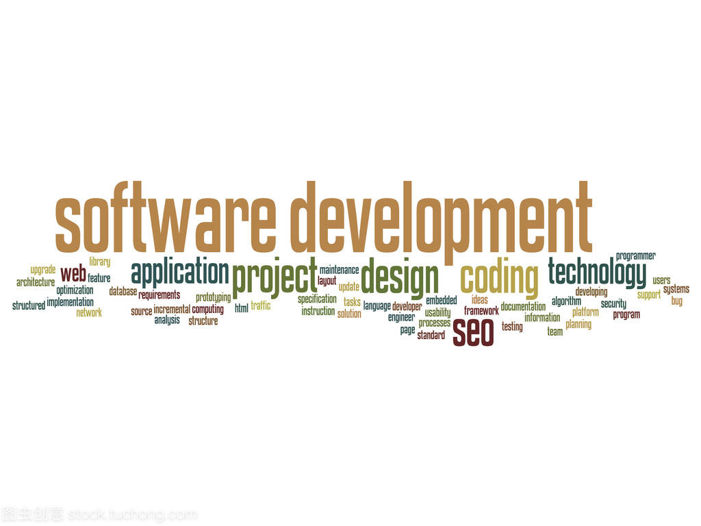 软件开发项目